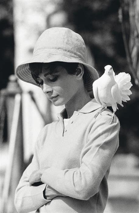 Audrey Hepburn with dove in St. Tropez, 1966 