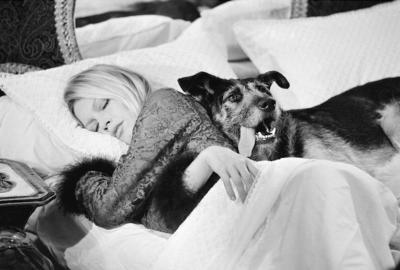 Terry O’Neill – Brigitte Bardot 1970 with dog 