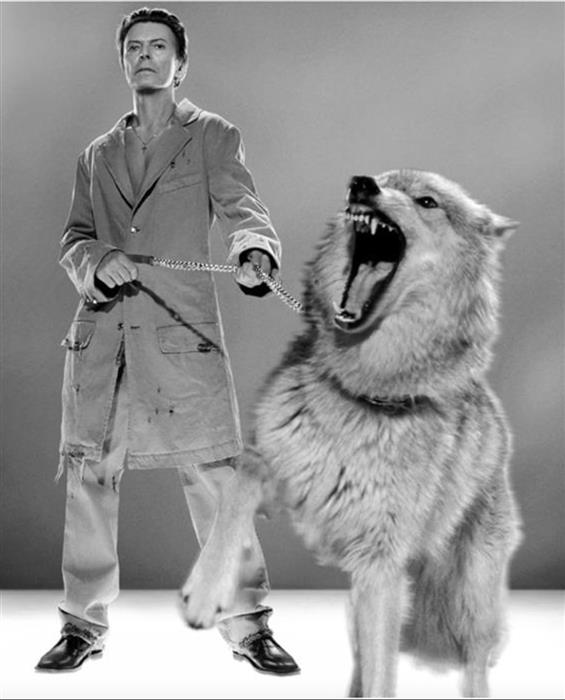 David Bowie The Protector B&W