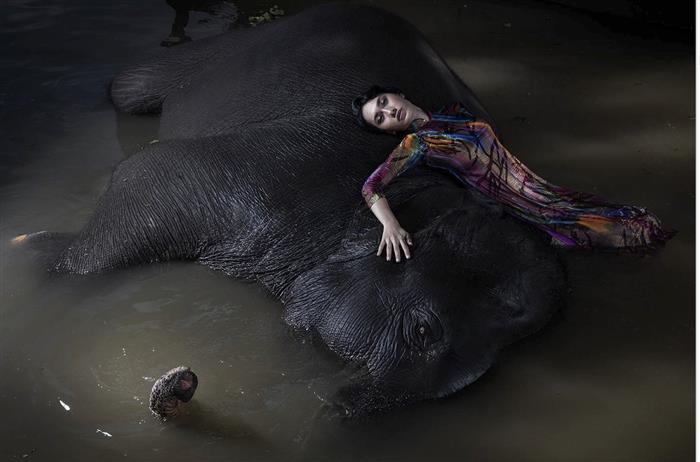 Elephant Bath with Model  Thailand 