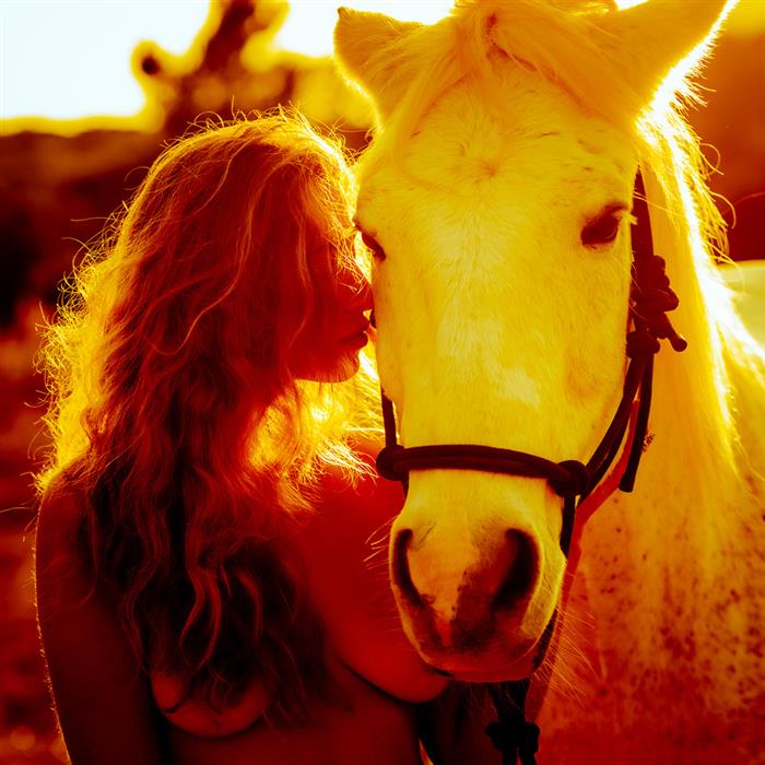 Sun Kissed